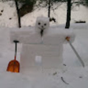 Meet your Posher, Bradley